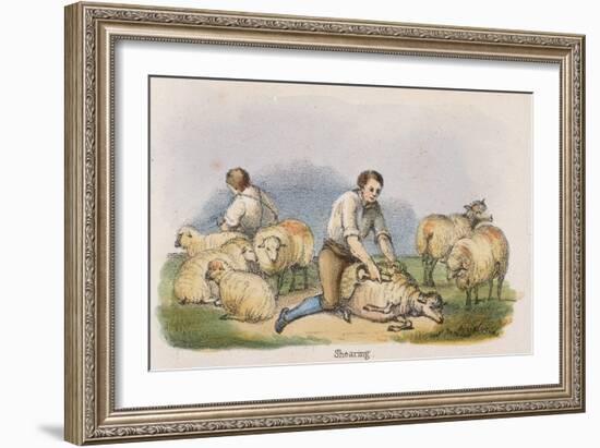 Shearing, C1845-Robert Kent Thomas-Framed Giclee Print