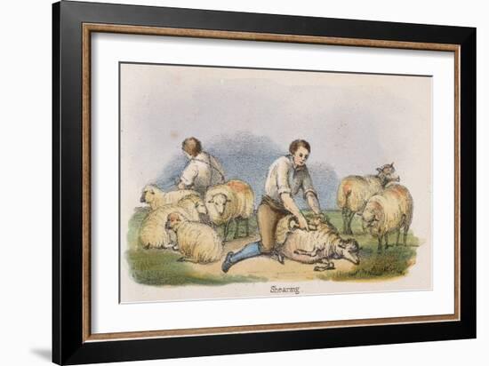 Shearing, C1845-Robert Kent Thomas-Framed Giclee Print