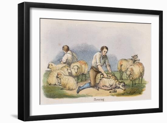 Shearing, C1845-Robert Kent Thomas-Framed Giclee Print