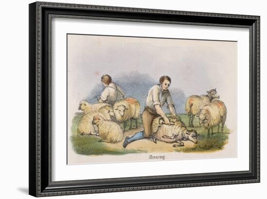 Shearing, C1845-Robert Kent Thomas-Framed Giclee Print