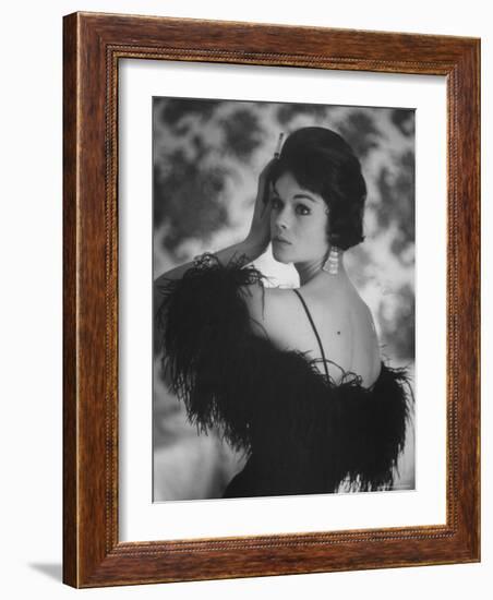 Sheath Dress Topped with Ostrich Feathers by California Designer-Gordon Parks-Framed Photographic Print