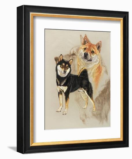 Sheba Inu-Barbara Keith-Framed Giclee Print