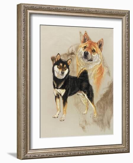 Sheba Inu-Barbara Keith-Framed Giclee Print