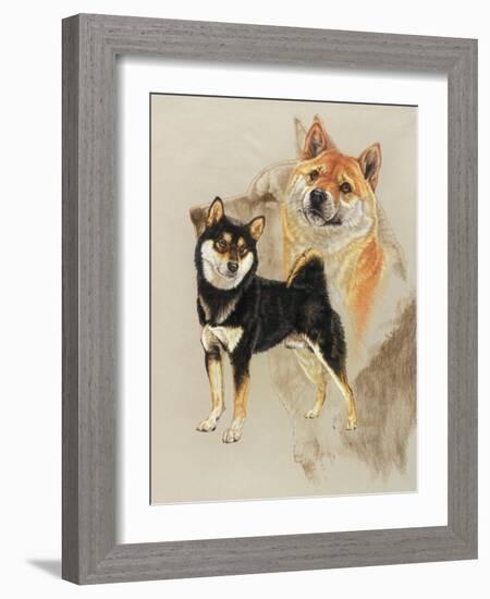 Sheba Inu-Barbara Keith-Framed Giclee Print