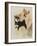 Sheba Inu-Barbara Keith-Framed Giclee Print