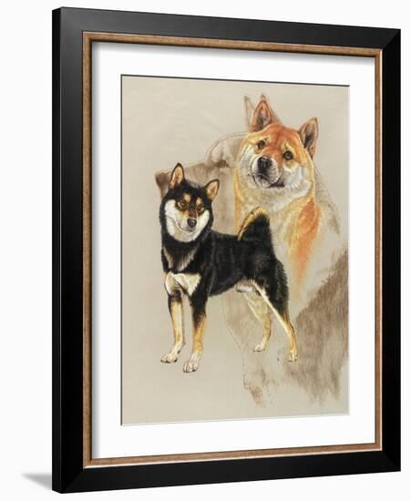 Sheba Inu-Barbara Keith-Framed Giclee Print