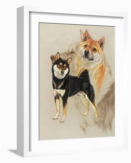 Sheba Inu-Barbara Keith-Framed Giclee Print