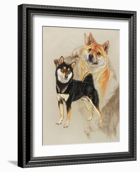 Sheba Inu-Barbara Keith-Framed Giclee Print