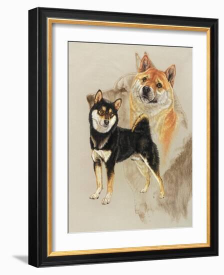 Sheba Inu-Barbara Keith-Framed Giclee Print