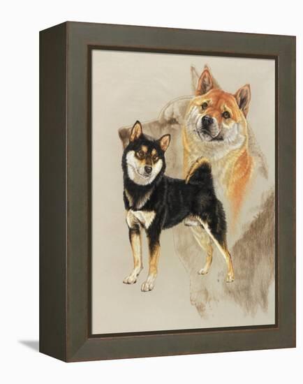 Sheba Inu-Barbara Keith-Framed Premier Image Canvas