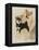 Sheba Inu-Barbara Keith-Framed Premier Image Canvas