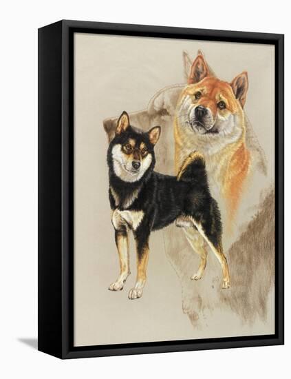 Sheba Inu-Barbara Keith-Framed Premier Image Canvas