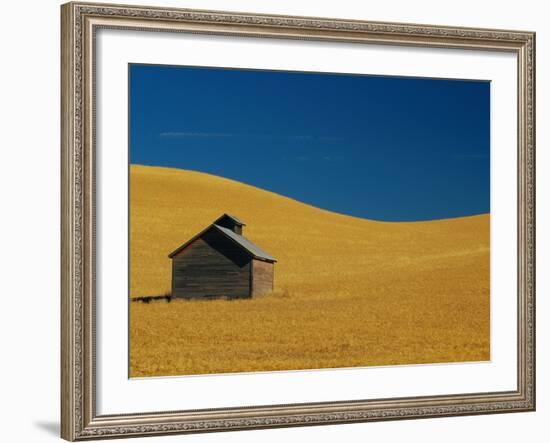 Shed in a Wheat Field-Darrell Gulin-Framed Photographic Print