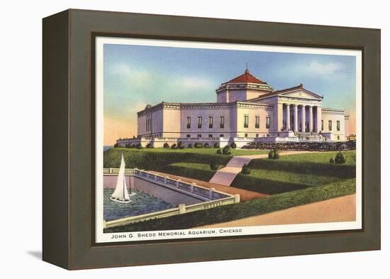 Shedd Aquarium, Chicago, Illinois-null-Framed Stretched Canvas