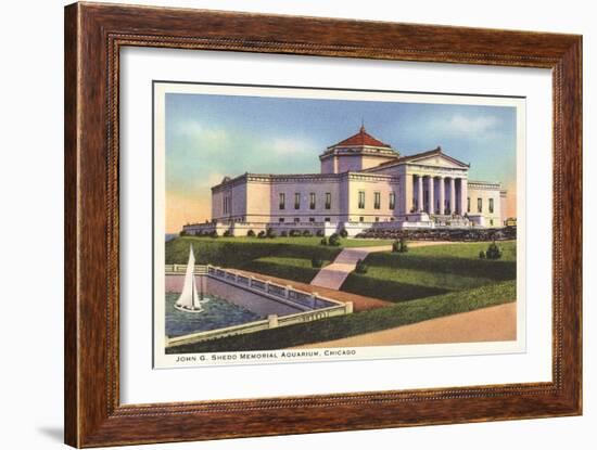 Shedd Aquarium, Chicago, Illinois-null-Framed Art Print