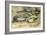 Sheep, 1868 (W/C on Paper)-Rosa Bonheur-Framed Giclee Print