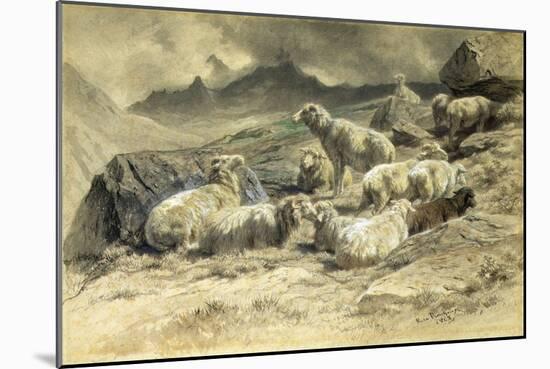 Sheep, 1868 (W/C on Paper)-Rosa Bonheur-Mounted Giclee Print