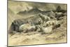 Sheep, 1868 (W/C on Paper)-Rosa Bonheur-Mounted Giclee Print