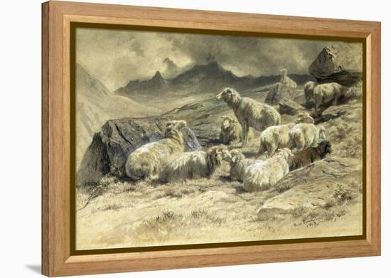 Sheep, 1868 (W/C on Paper)-Rosa Bonheur-Framed Premier Image Canvas