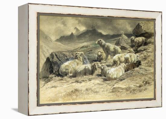 Sheep, 1868 (W/C on Paper)-Rosa Bonheur-Framed Premier Image Canvas