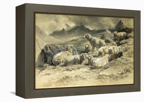 Sheep, 1868 (W/C on Paper)-Rosa Bonheur-Framed Premier Image Canvas