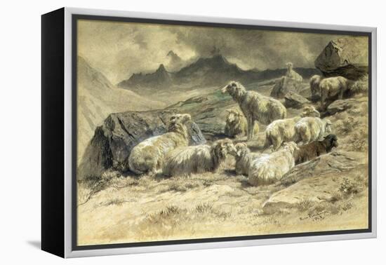 Sheep, 1868 (W/C on Paper)-Rosa Bonheur-Framed Premier Image Canvas