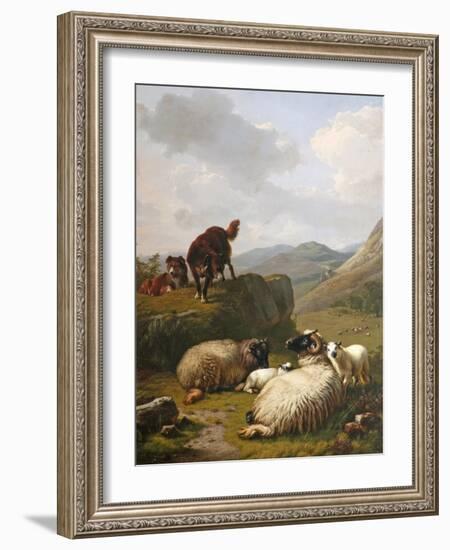 Sheep and Dogs, 1861-Eugene Joseph Verboeckhoven-Framed Giclee Print