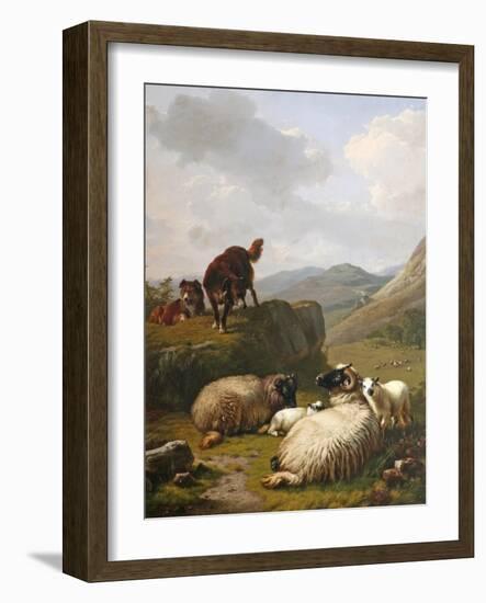 Sheep and Dogs, 1861-Eugene Joseph Verboeckhoven-Framed Giclee Print