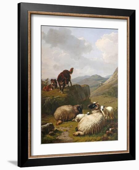 Sheep and Dogs, 1861-Eugene Joseph Verboeckhoven-Framed Giclee Print