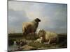 Sheep and Ducks in a Landscape-Leon Bakst-Mounted Giclee Print