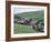 Sheep and Farm, Fox Up, Yorkshire, England, United Kingdom-Adam Woolfitt-Framed Photographic Print