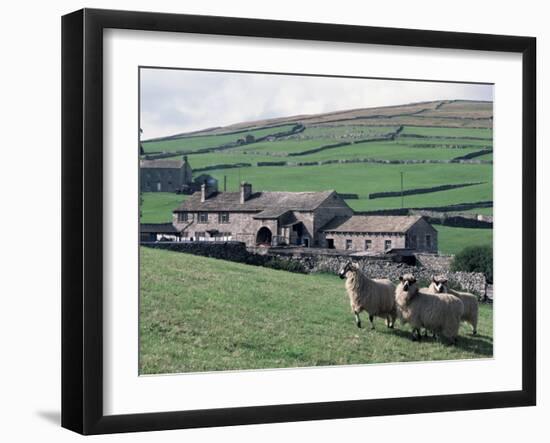 Sheep and Farm, Fox Up, Yorkshire, England, United Kingdom-Adam Woolfitt-Framed Photographic Print