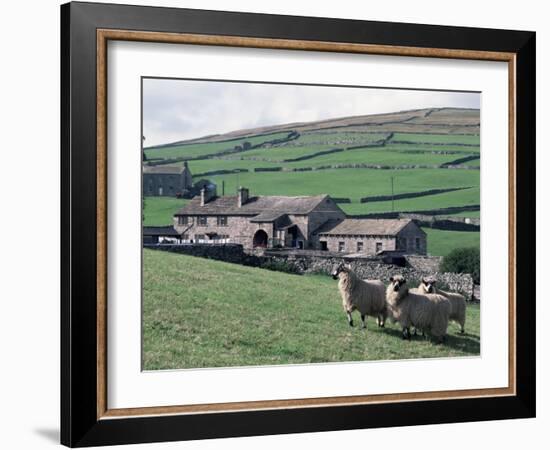 Sheep and Farm, Fox Up, Yorkshire, England, United Kingdom-Adam Woolfitt-Framed Photographic Print