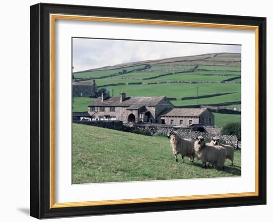 Sheep and Farm, Fox Up, Yorkshire, England, United Kingdom-Adam Woolfitt-Framed Photographic Print