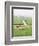 Sheep and Farms on Reclaimed Polder Lands Around Amsterdam, Holland-Walter Rawlings-Framed Photographic Print