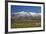 Sheep and Kakanui Mountains, Kyeburn, Central Otago, South Island, New Zealand-David Wall-Framed Photographic Print