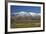 Sheep and Kakanui Mountains, Kyeburn, Central Otago, South Island, New Zealand-David Wall-Framed Photographic Print