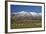 Sheep and Kakanui Mountains, Kyeburn, Central Otago, South Island, New Zealand-David Wall-Framed Photographic Print