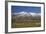 Sheep and Kakanui Mountains, Kyeburn, Central Otago, South Island, New Zealand-David Wall-Framed Photographic Print