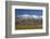 Sheep and Kakanui Mountains, Kyeburn, Central Otago, South Island, New Zealand-David Wall-Framed Photographic Print