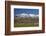 Sheep and Kakanui Mountains, Kyeburn, Central Otago, South Island, New Zealand-David Wall-Framed Photographic Print