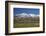 Sheep and Kakanui Mountains, Kyeburn, Central Otago, South Island, New Zealand-David Wall-Framed Photographic Print