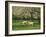 Sheep and Lambs Beneath Apple Trees in a Cider Orchard in Herefordshire, England-Michael Busselle-Framed Photographic Print