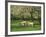 Sheep and Lambs Beneath Apple Trees in a Cider Orchard in Herefordshire, England-Michael Busselle-Framed Photographic Print