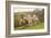 Sheep and Lambs on Pasture-null-Framed Art Print