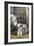 Sheep and Lambs-null-Framed Photographic Print