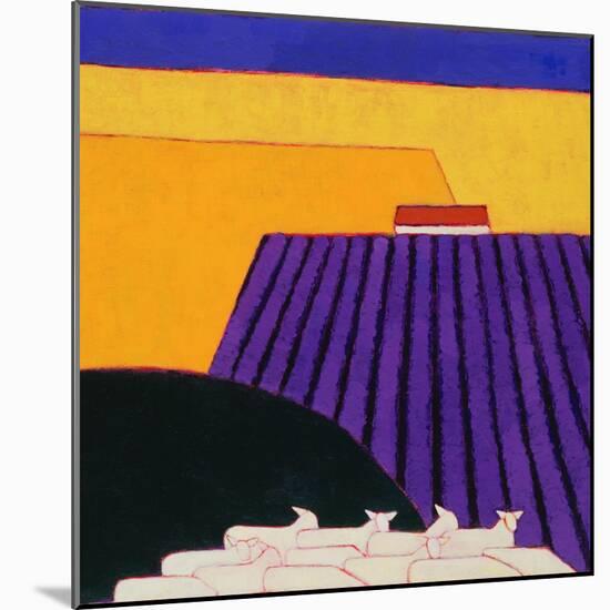 Sheep and Lavender Fields, 2004-Eithne Donne-Mounted Giclee Print