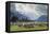 Sheep and Mountains Near Glenorchy, Queenstown, South Island, New Zealand, Pacific-Nick-Framed Premier Image Canvas