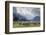 Sheep and Mountains Near Glenorchy, Queenstown, South Island, New Zealand, Pacific-Nick-Framed Photographic Print