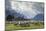 Sheep and Mountains Near Glenorchy, Queenstown, South Island, New Zealand, Pacific-Nick-Mounted Photographic Print